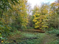 Mooie herfstkleuren