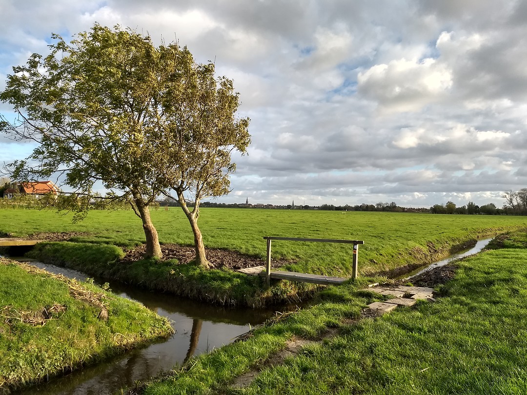 Kerkepad met plankbruggetjes naar Maasland