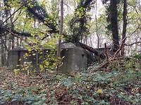 Bunker in Staelduinse bos.