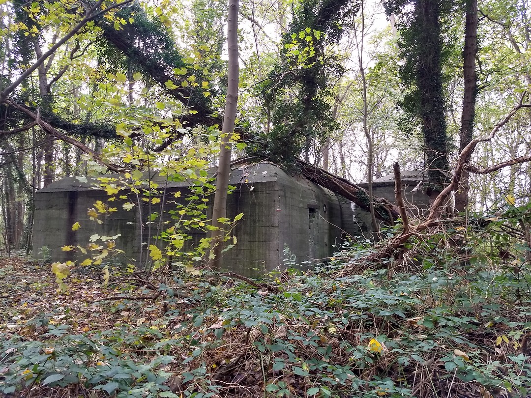 Bunker in Staelduinse bos.