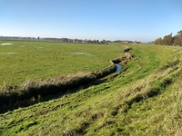 Op weg naar Zwartewaal
