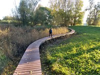 Vlonderpad door Visserij grienden langs de Oude Maas