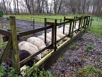 Vlak voor Rhoon