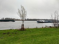 De Maas