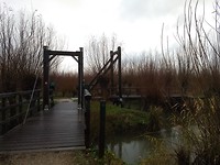 Bruggetjes