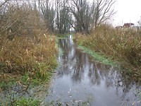 Ondergelopen pad