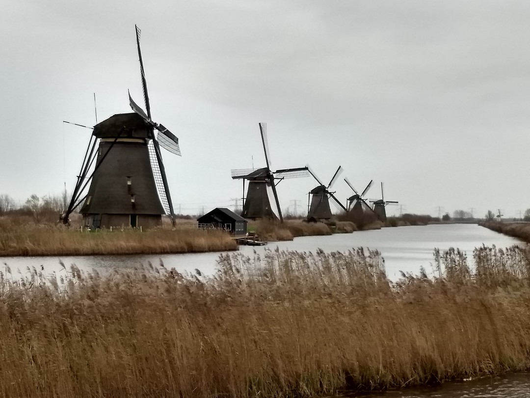 Kinderdijk