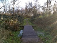 Het Loetbos