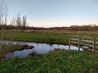 De Krimpenerwaard