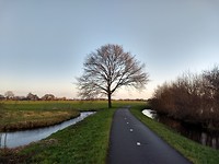 Langs de Loet