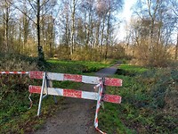 We mogen het Loetbos eigenlijk niet in