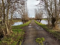 Tiendweg richting Kadijk
