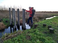 In de Krimpenerwaard
