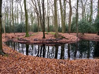 Schelfhorst