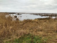 De Onlanden 2