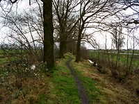 Goudriaanse kade