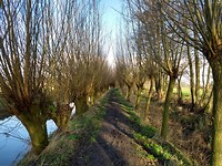 Lakerveldse Molenkade