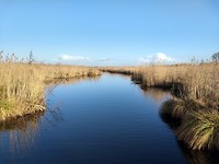 De Zouweboezem