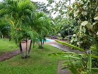 Oxygen resort