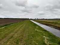 klein stuk open landschap, maar windje mee