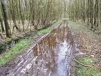 tot mijn enkels door het water ...