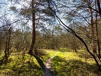 op weg naar Holtinge