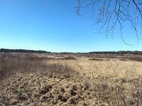 Holtingerveld