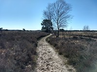 mooi pad