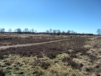 Holtingerveld 2