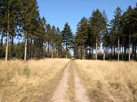 Afwisselend bos en open grasland