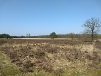 Lheebroekerzand