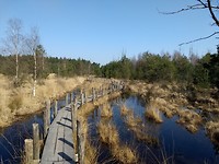 prachtig vlonderpad