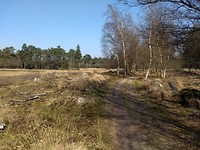 Holtveen