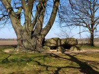 Hunebed bij Zuideresch