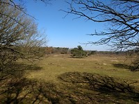 Doorkijkje op het Drouwenerzand