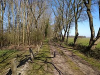 Drents paadje