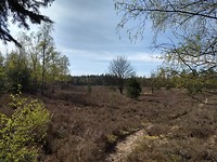 Gietenerveld