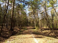 boswachterij Zweeloo