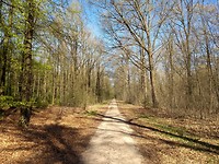 Zweeloërveld