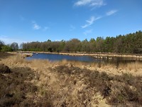 ven Zweeloërveld