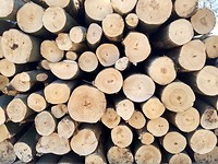 gekapt hout