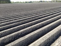 geharkt veld