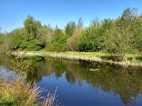 ook veel water