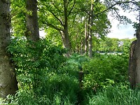 aanlooproute naar Spaarbankbos