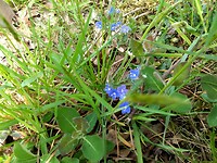 IMG_20200503_140641121