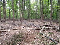 Het pad kwijt in het Valtherbos