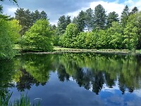 Ven in het Valtherbos