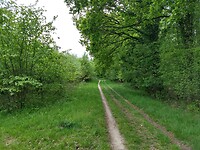 En nog eens mooi lichtgroen