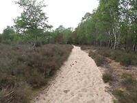 ... verandert snel in zand