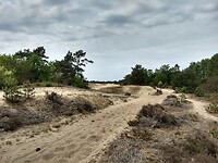 ... erg mul zand